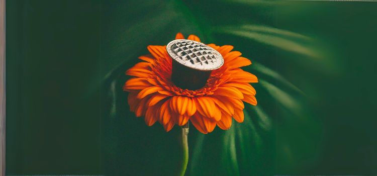 eco-friendly coffee pods