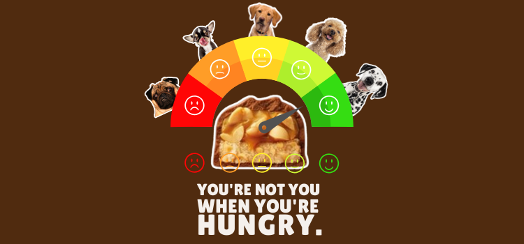 Snicker meter You’re Not You When You’re Hungry