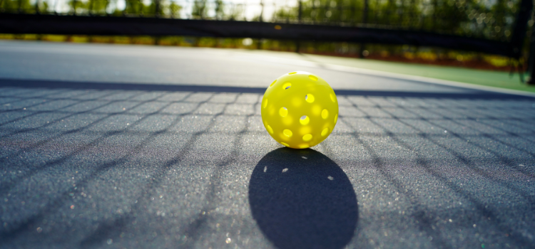 Pickleball 2024 guide.