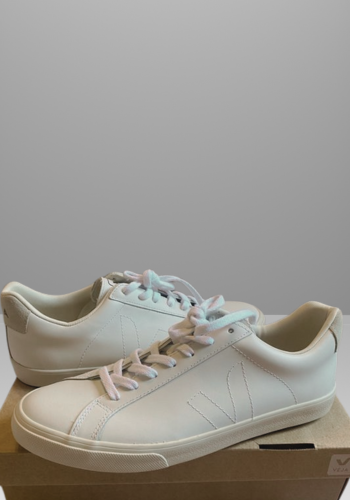 4 Veja Sustainable Sneakers
